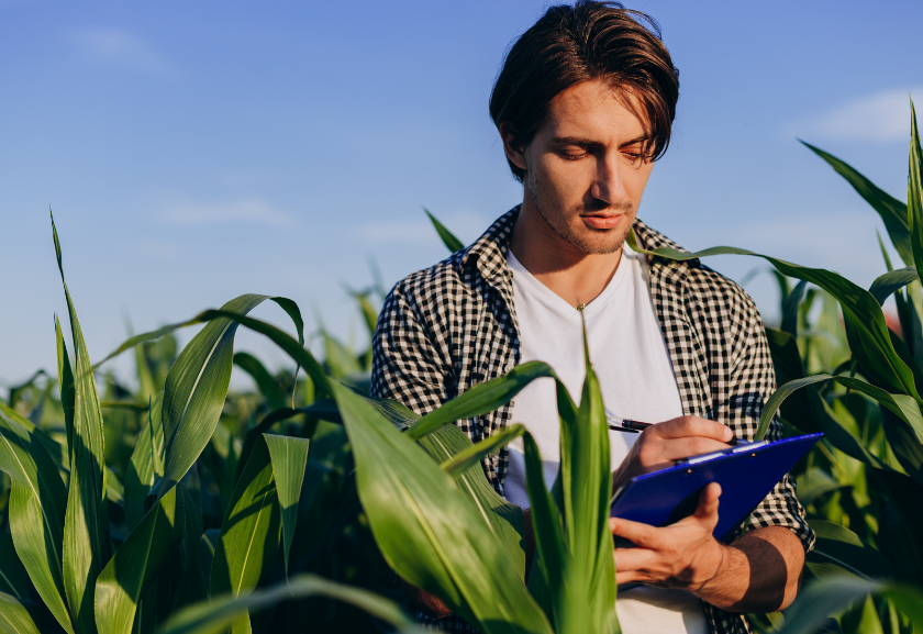 A importância da contabilidade rural